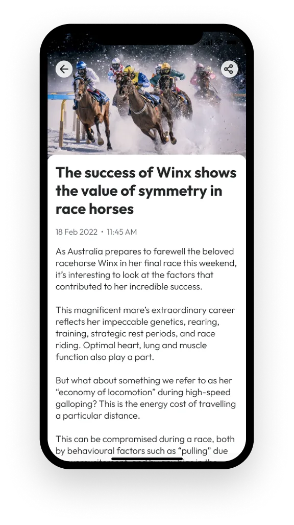 Sixth day racing screen