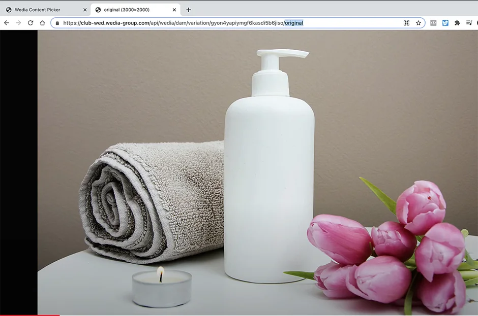 Wedia Content Picker API 
