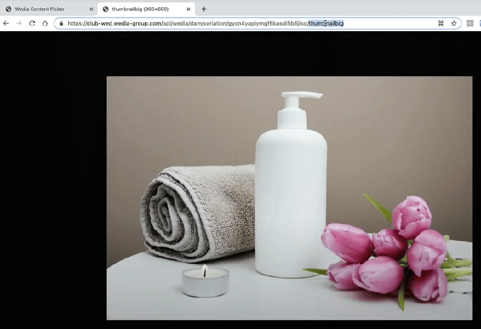Wedia Content Picker API Vorschaubild Groß