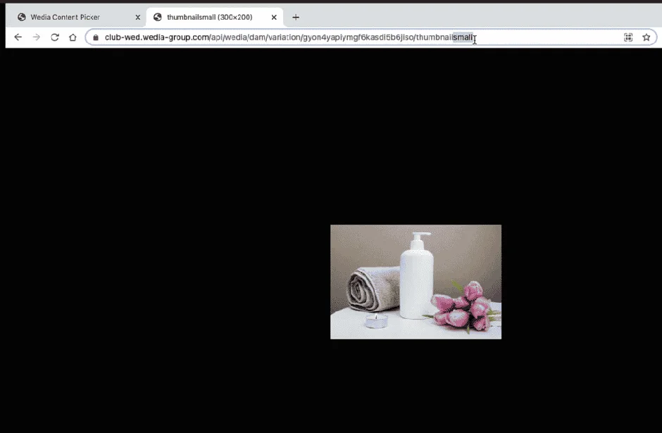 Wedia Content Picker API Thumbnail Small