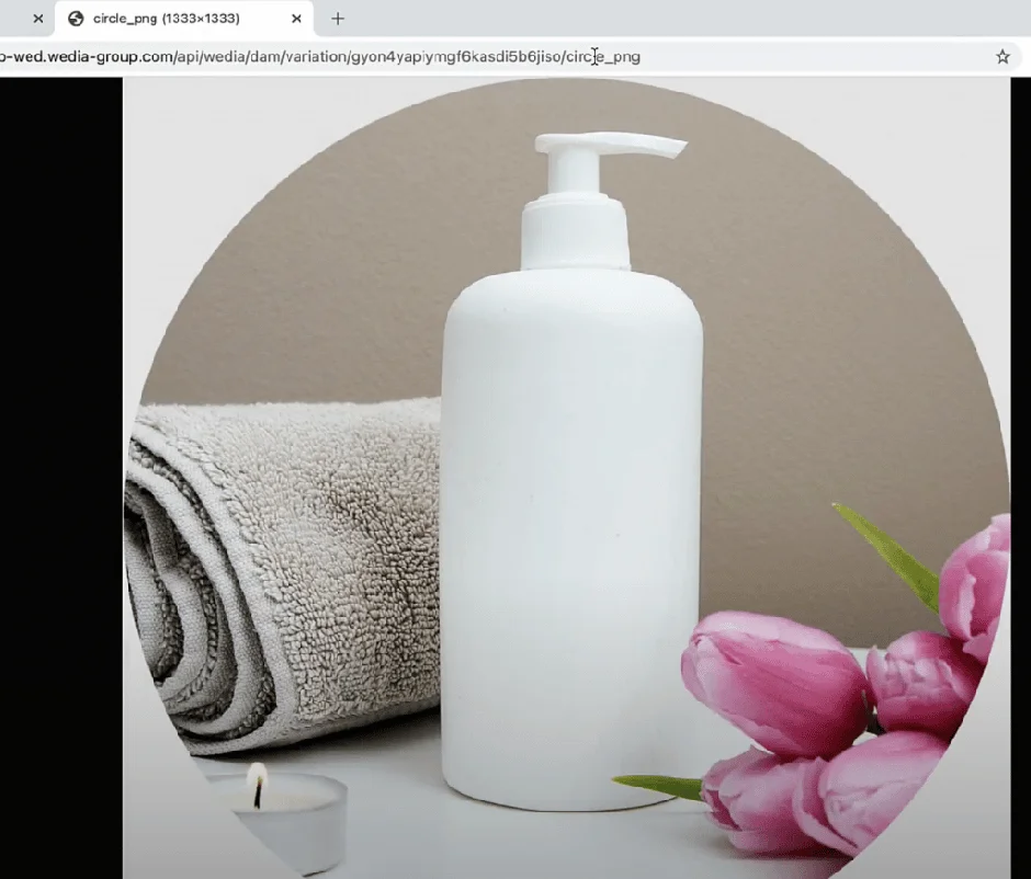 Wedia Content Picker Kreis 