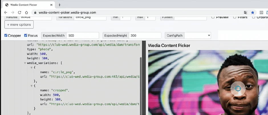 Wedia Content Picker Kreisausschnitt