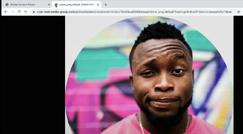 Wedia Content Picker Kreis