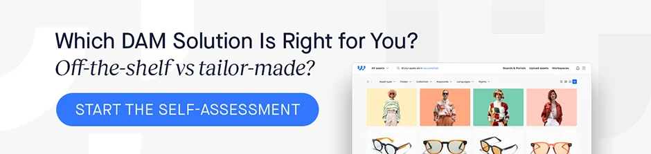 Self-Assessment: Which DAM Solution Is Right for You?
