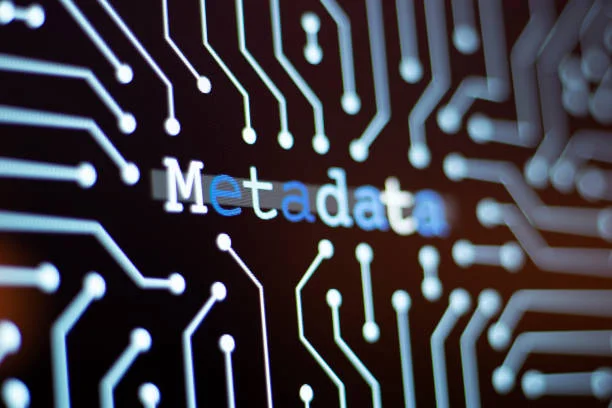  Describe your assets with metadata tagging
