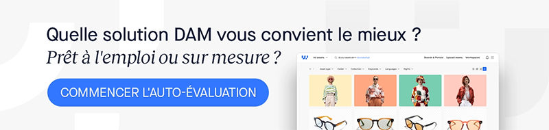 Quelle solution DAM vous convient le mieux ?