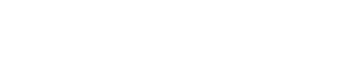 SAS Silver Partner