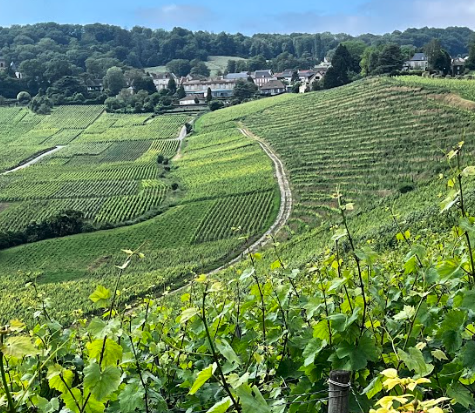 36 uur in de Champagne streek