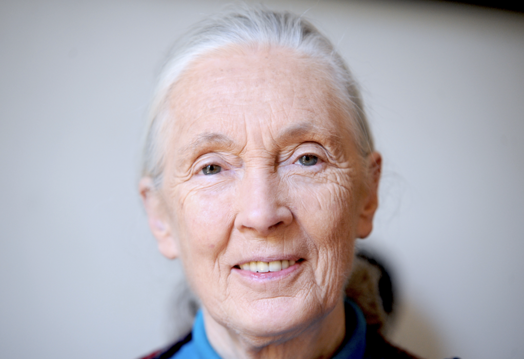 Jane Goodall: Verwondering kent geen leeftijd