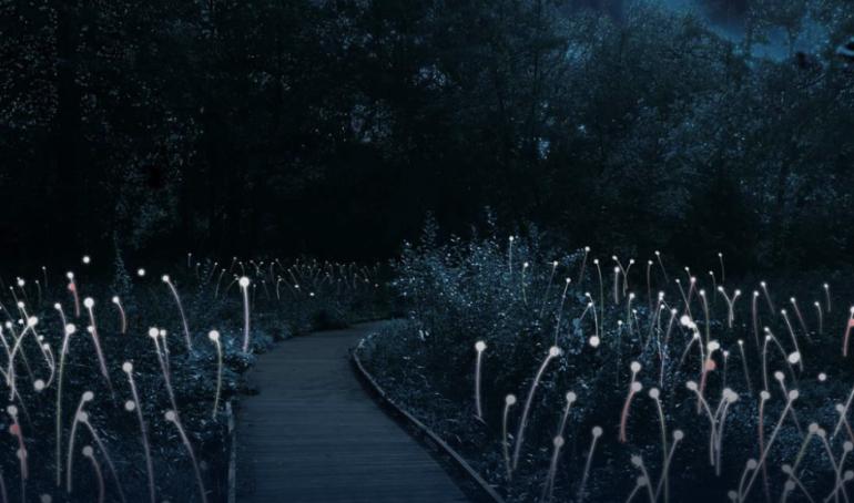 Weekendje weg: lichtjes in de donkere maanden
