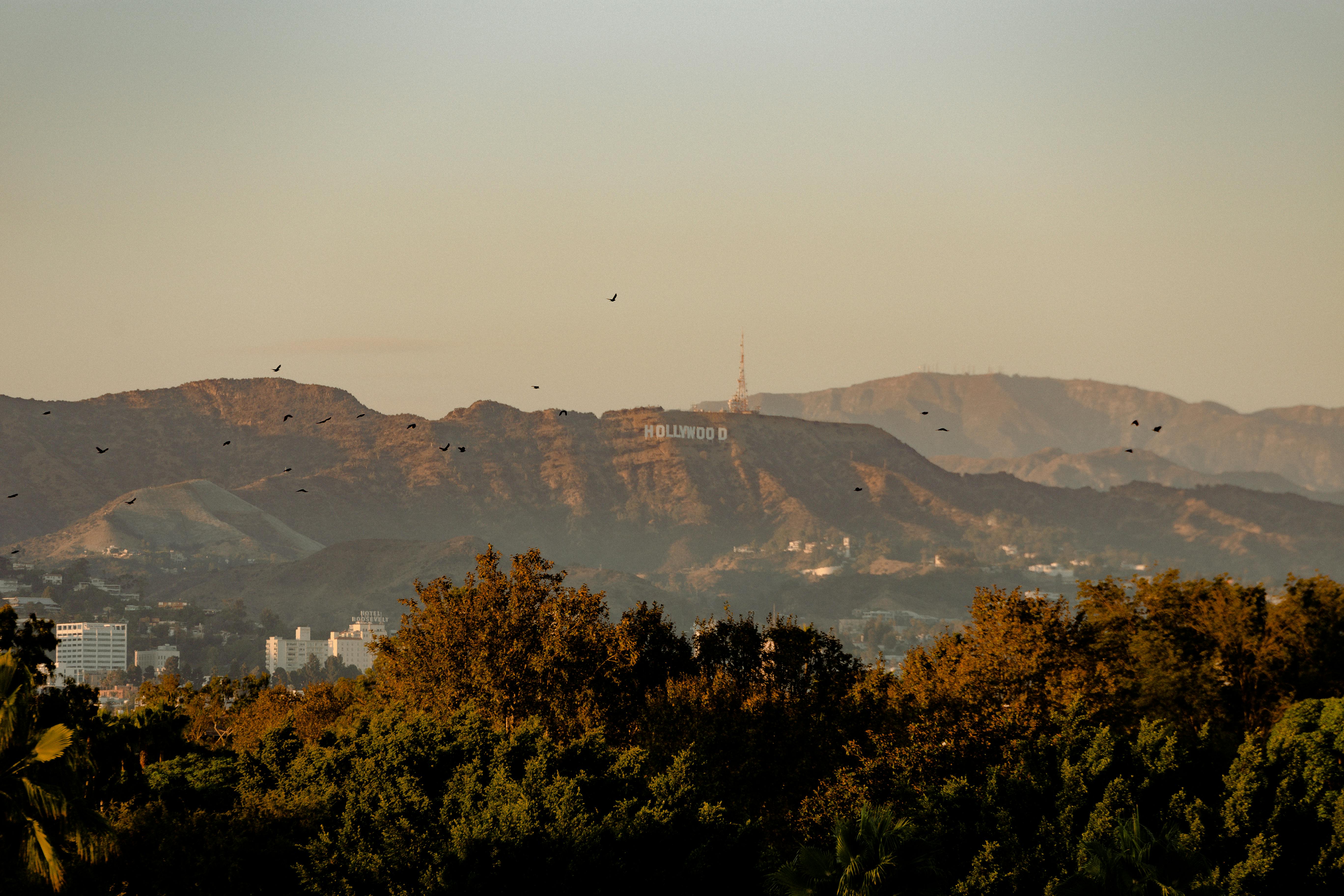 Van glorie naar glashelder: hoe Hollywood veranderde