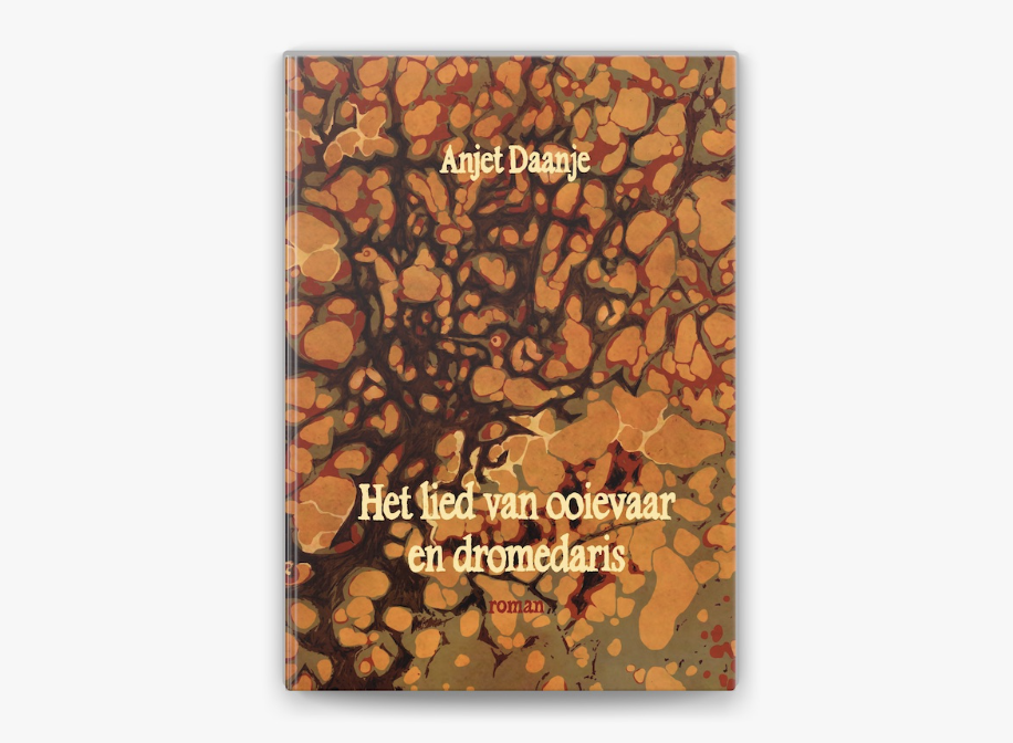 Een roman die je langzaam herschrijft: Het lied van ooievaar en dromedaris van Anjet Daanje