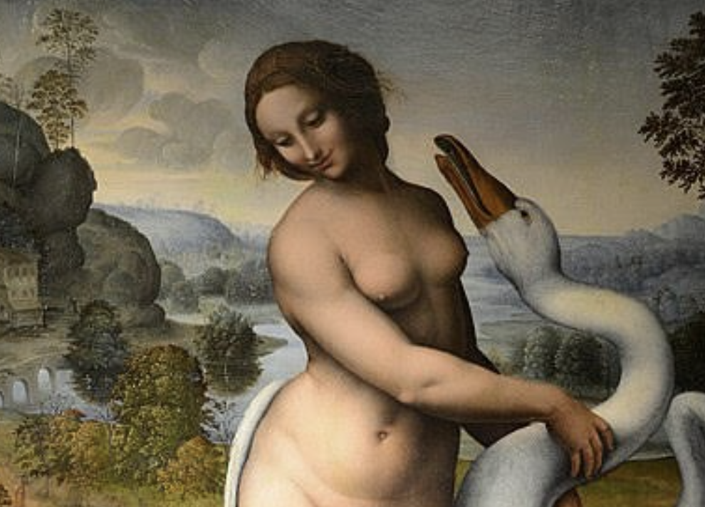 Metamorfosen: een tentoonstelling over verandering