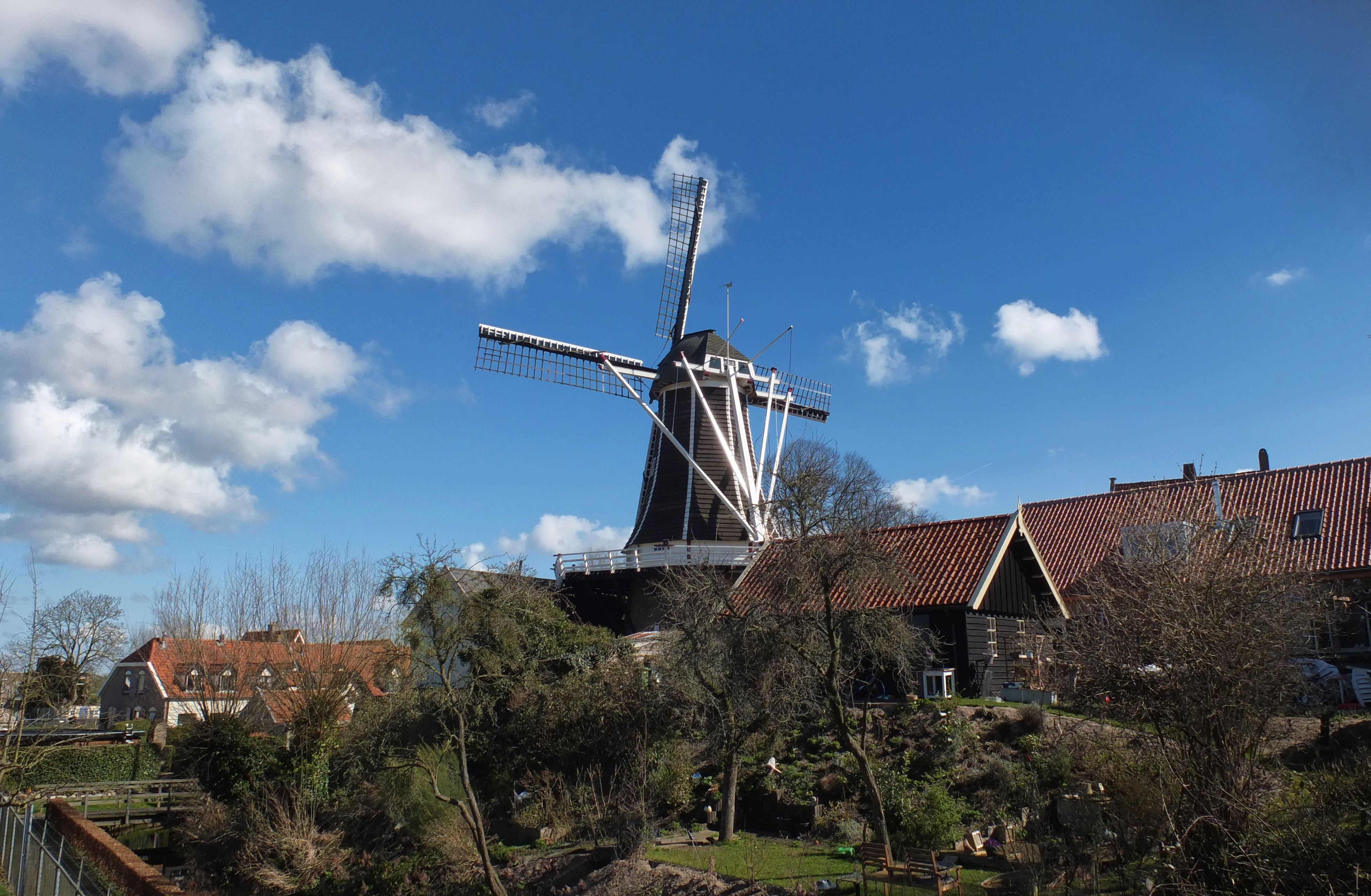 Word je gezonder oud in een stad of in een dorp?
