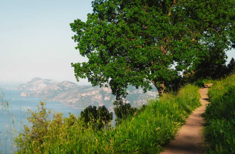 De mooiste wandelingen van Europa: vergezichten, bloemenweides en paden die je bijblijven