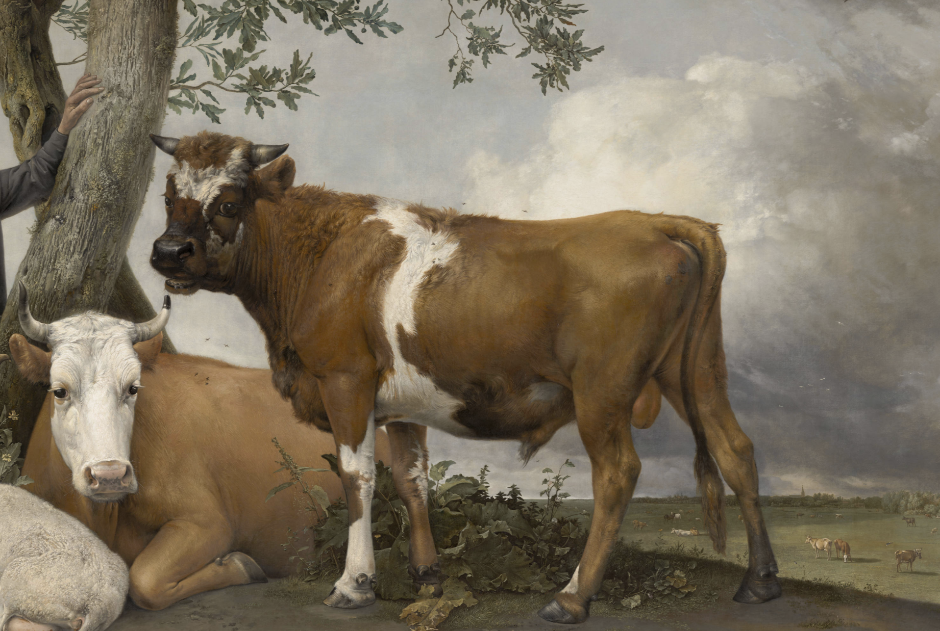 De stier heeft zijn kleur terug