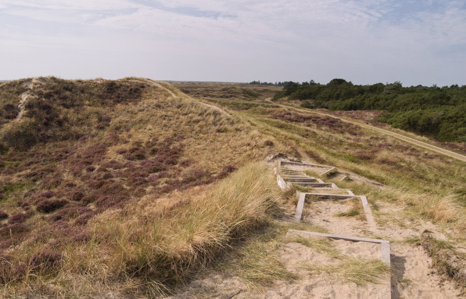 Schiermonnikoog na de zomer: drie dagen waarin buiten zijn genoeg is