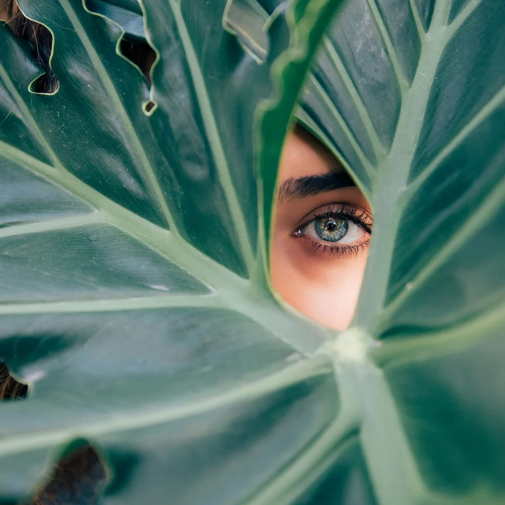 5 признаков, что пора к офтальмологу — от затуманивания до появления вспышек