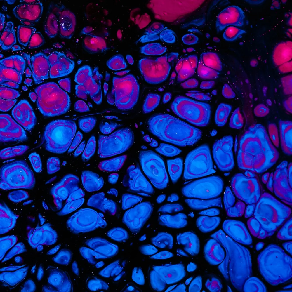 Косметика на стволовых клетках: чудо или маркетинг