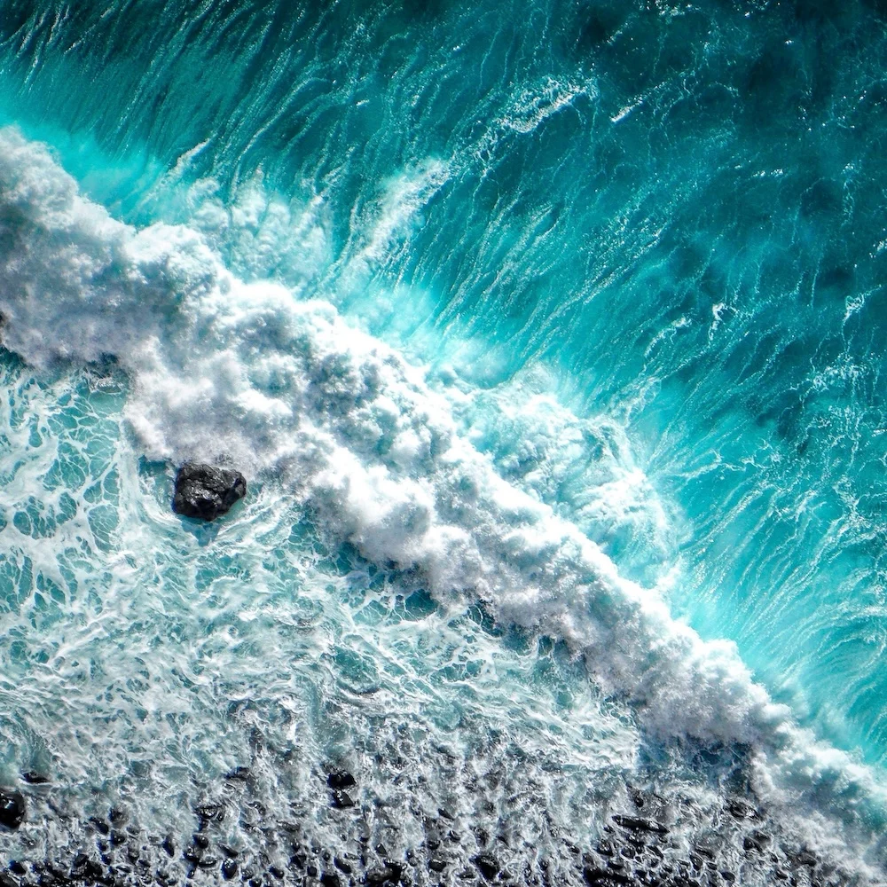 PDRN в косметике: все о хайповом активе морского происхождения