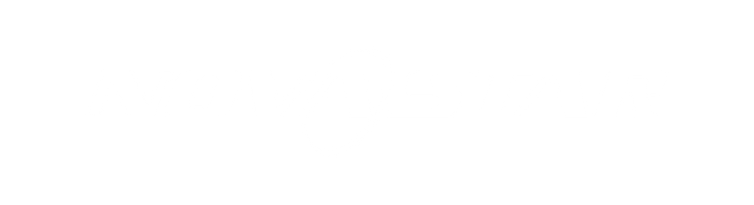 Logo NovaStar