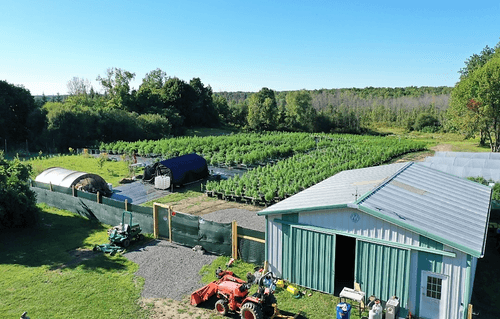 A Drone Shot of Niagara Hemp Supply Farm
