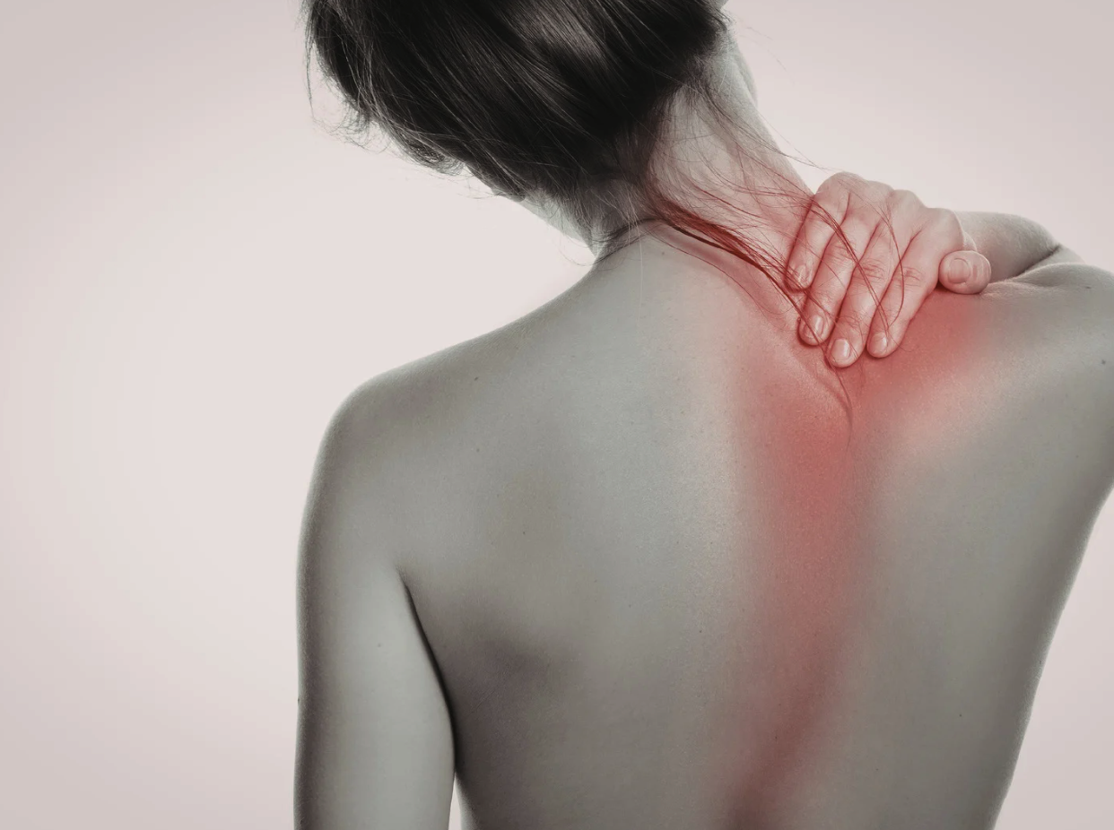  The Shoulder That Stopped Me Cold