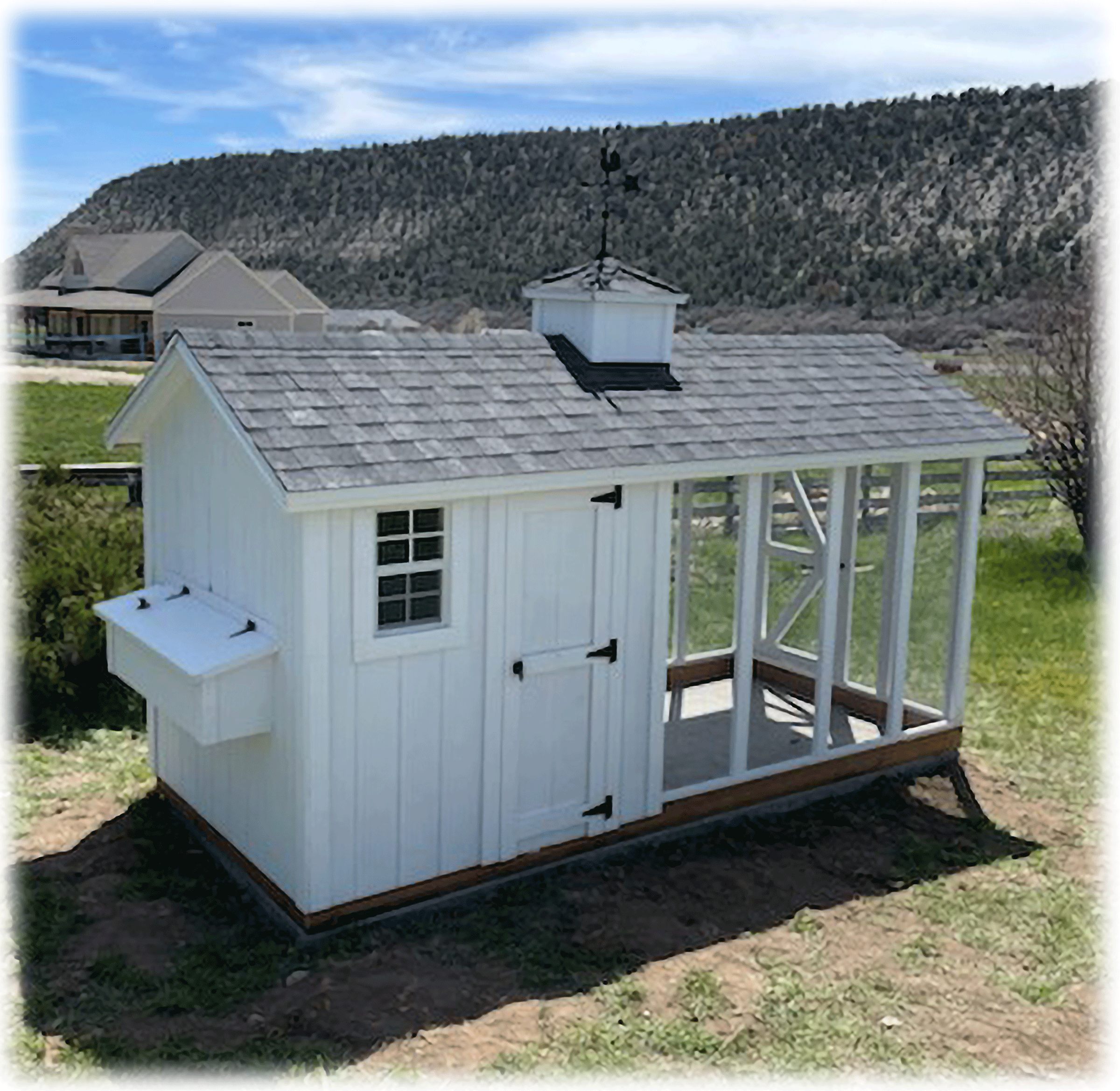 A six by twelve chicken coop with run and cupola in southern Utah farming community.
