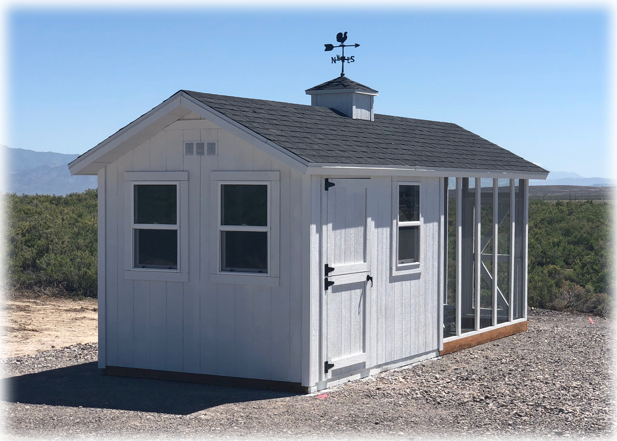 An eight foot by 20 foot custom chicken coop with a cupola and extra windows