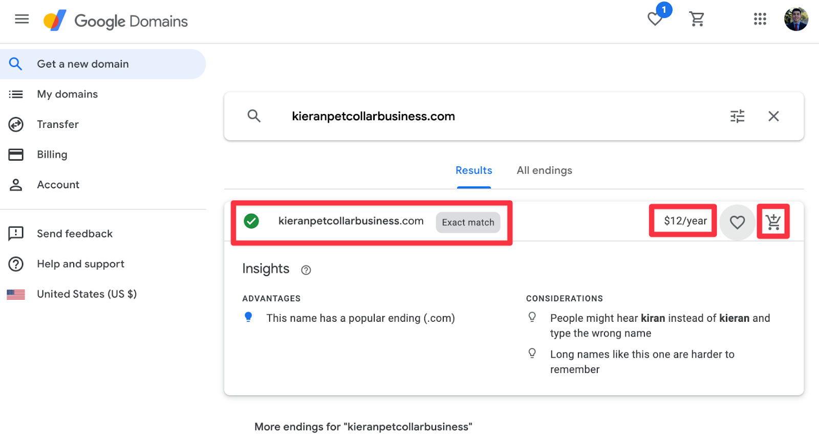 screenshot of buying kieranpetcollarbusiness.com on google domains