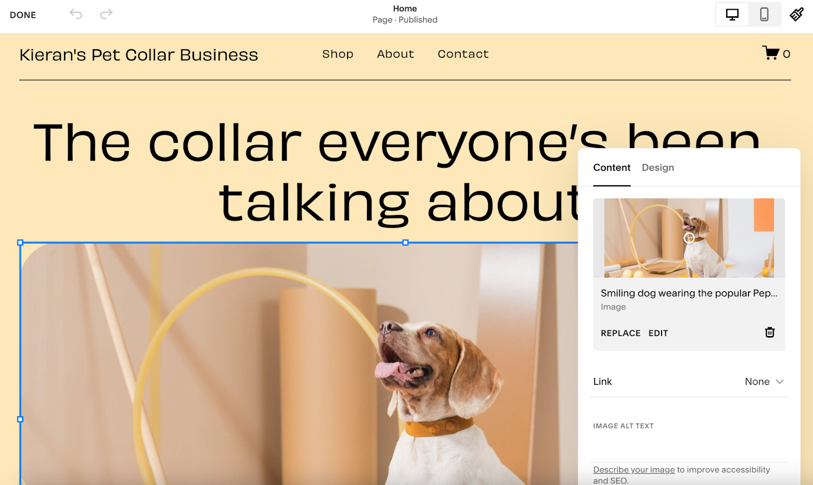 screenshot of kieran's pet collar business homepage with edit image editor on the right side