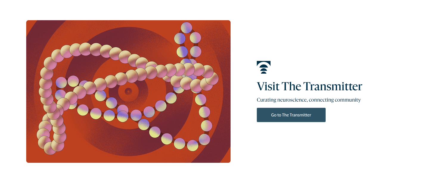 Final call-out banner inviting readers to visit The Transmitter, beside an illustration