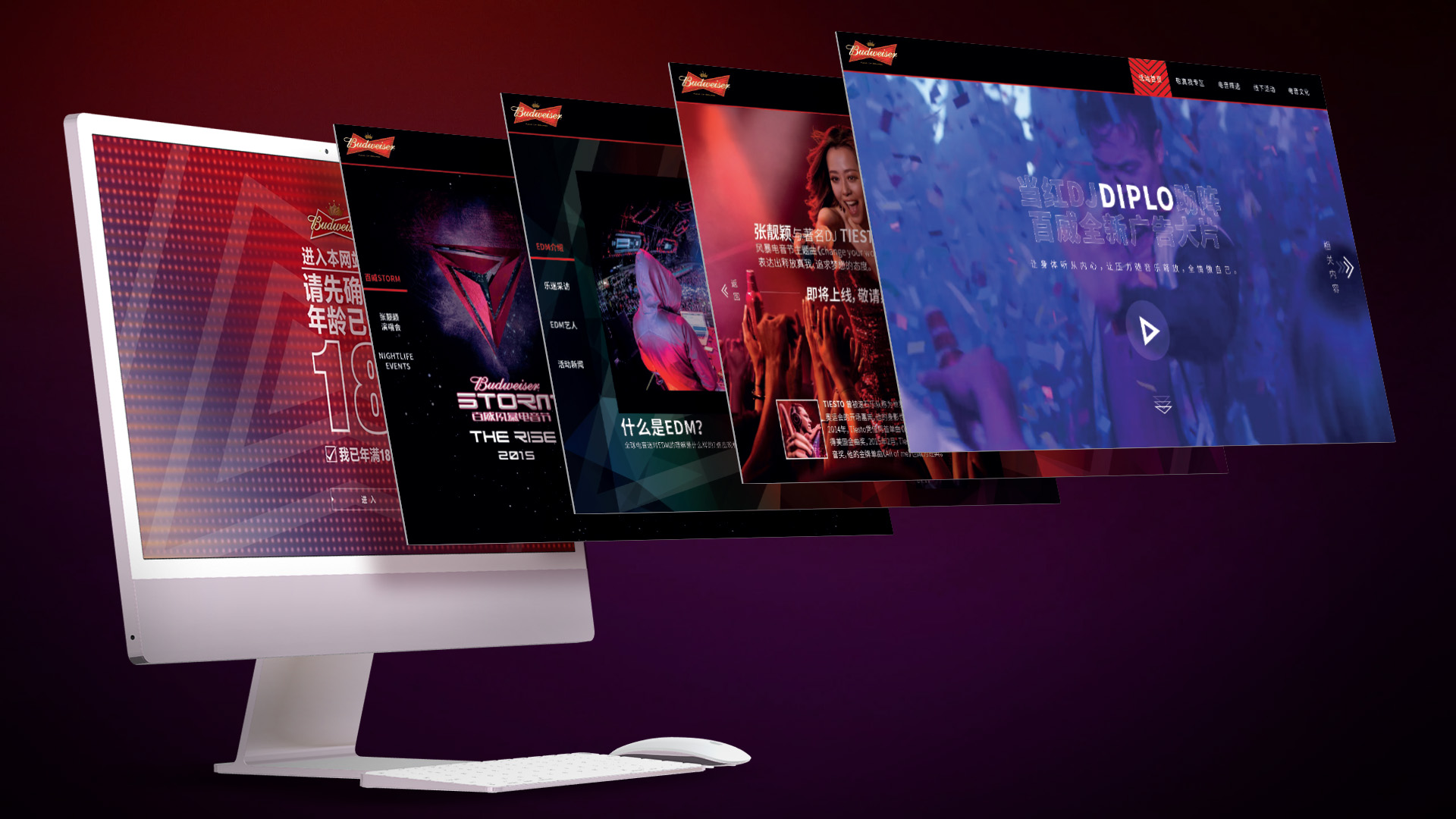 Bud.cn project visual