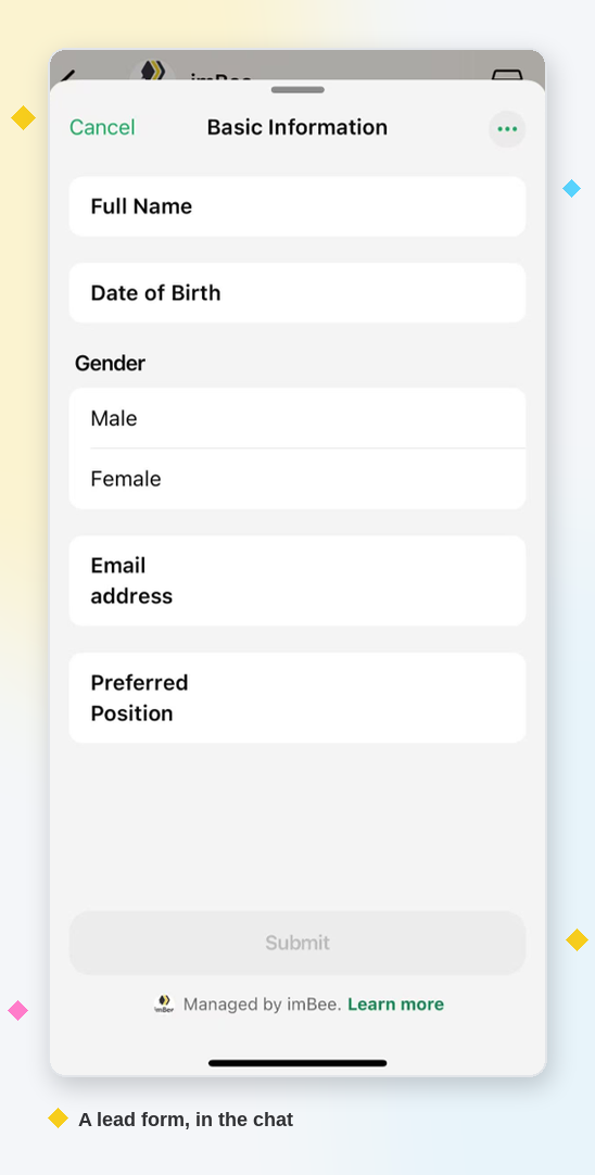 A lead-capture WhatsApp Form open in the chat, asking for name, date of birth, gender, email and preferred position