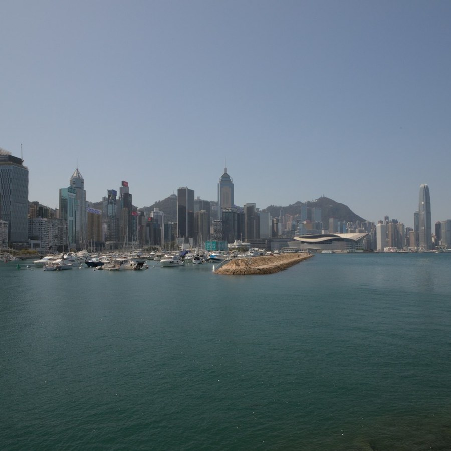 Boats in a harbor with a city skyline backdrop