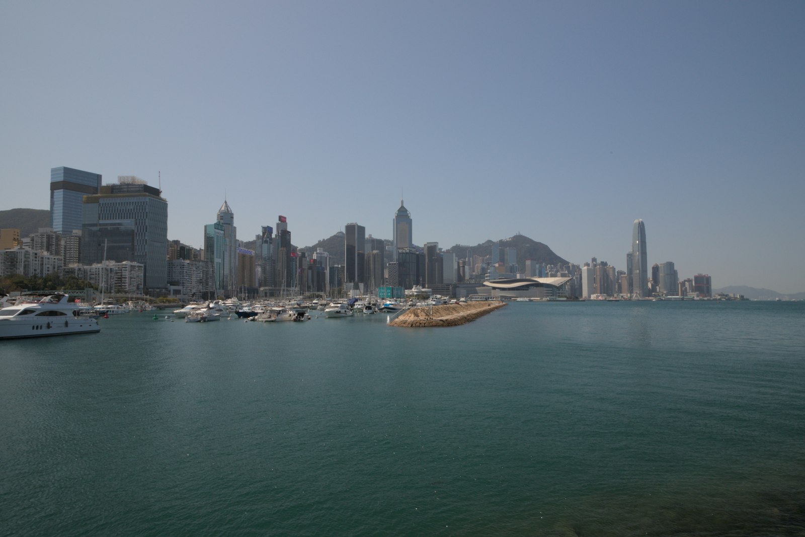 Boats in a harbor with a city skyline backdrop