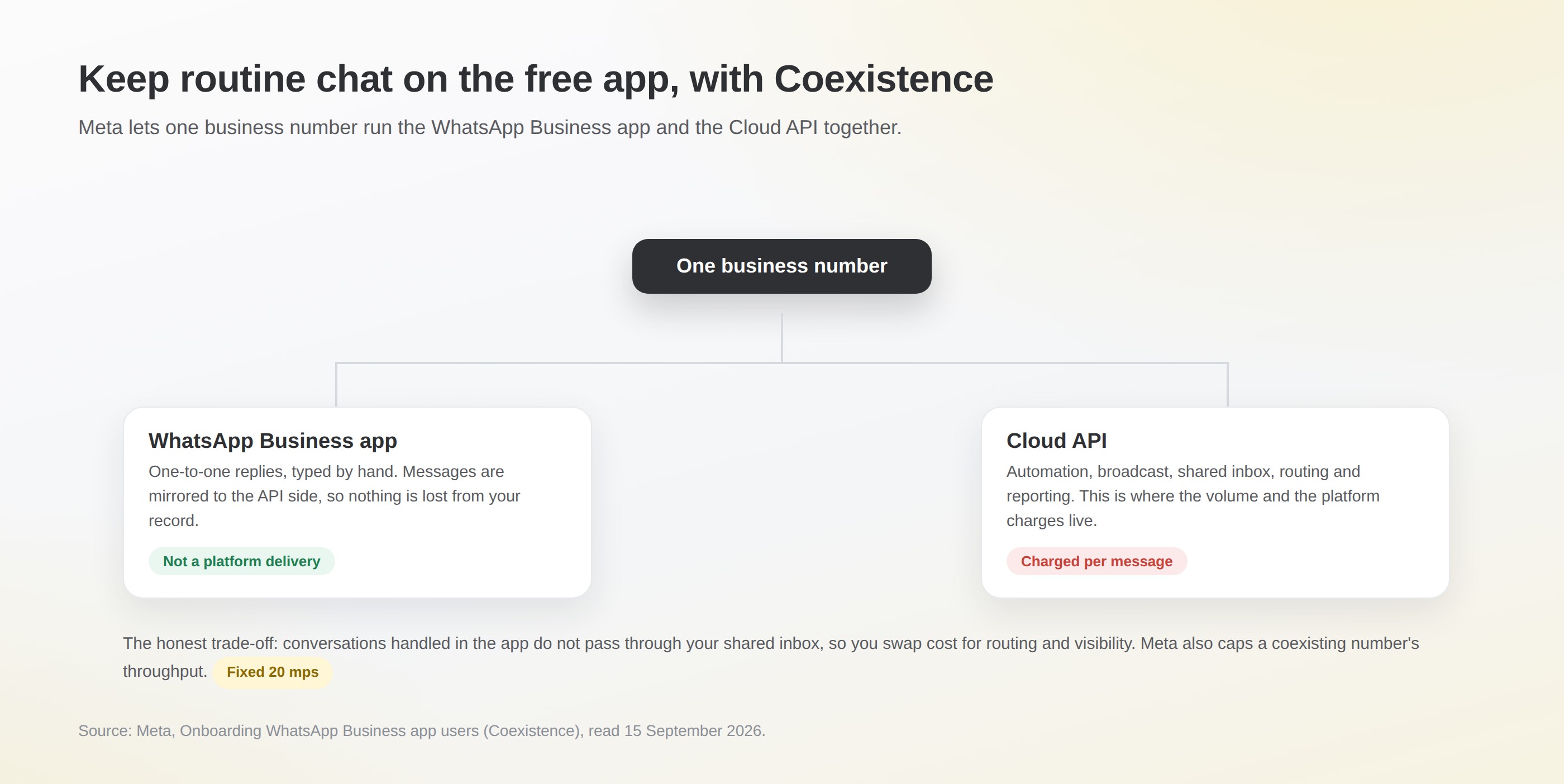 One business number branching to the WhatsApp Business app for one-to-one replies and to the Cloud API for automation and broadcast