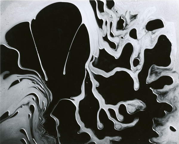 Cracked Glass, California, 1954 (silver gelatin print) © Brett Weston / Bridgeman Images