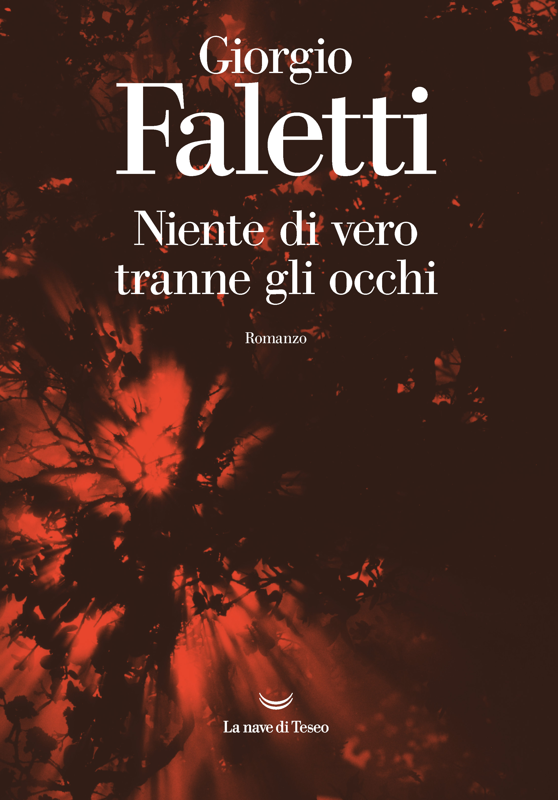 Copertina di Niente di Vero tranne gli occhi, Pubblicato da La Nave di Teseo