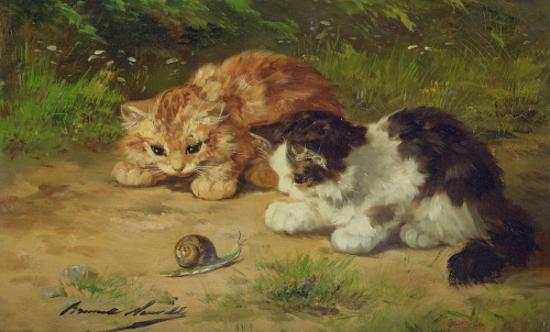 Kittens and snail