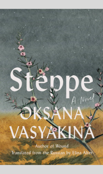 Soda brulee - Prickly saltwort, Kali turgida 