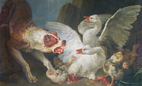 A Dog Attacking Geese, 1769 (oil on canvas)