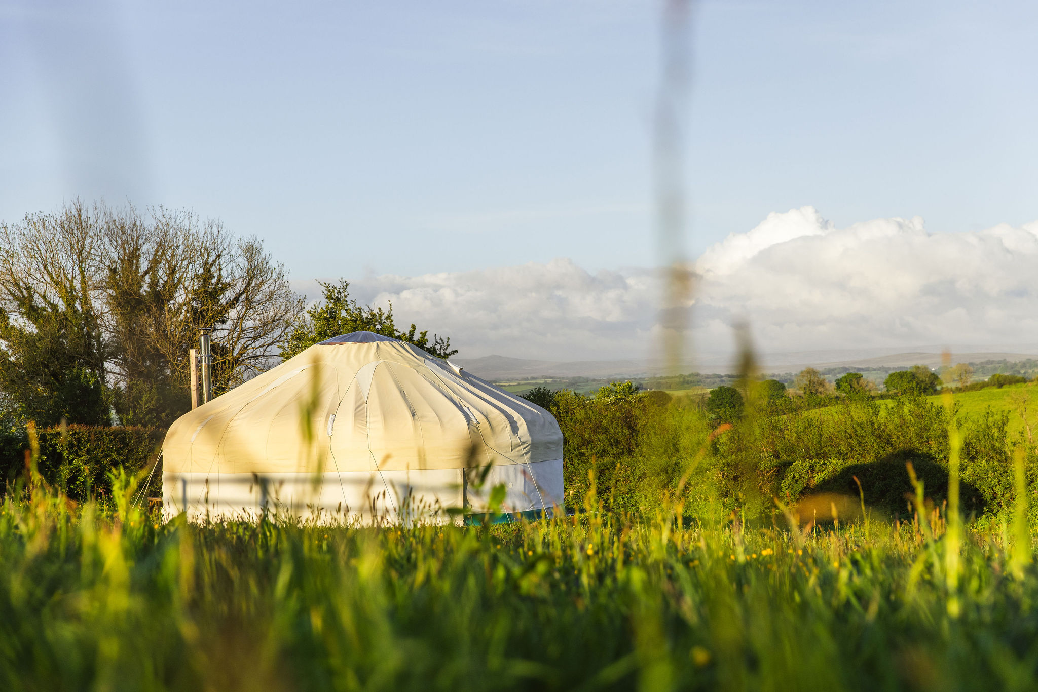 Great Links — luxury yurt glamping with Dartmoor views at Borough Farm, Devon
