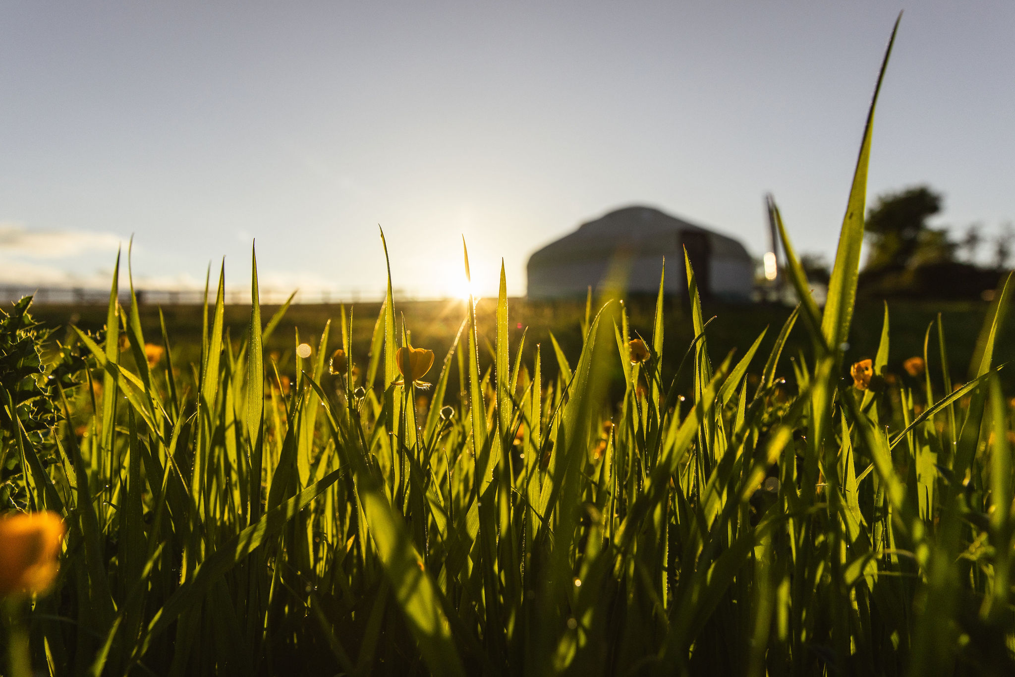 Great Links luxury yurt at Borough Farm, Devon