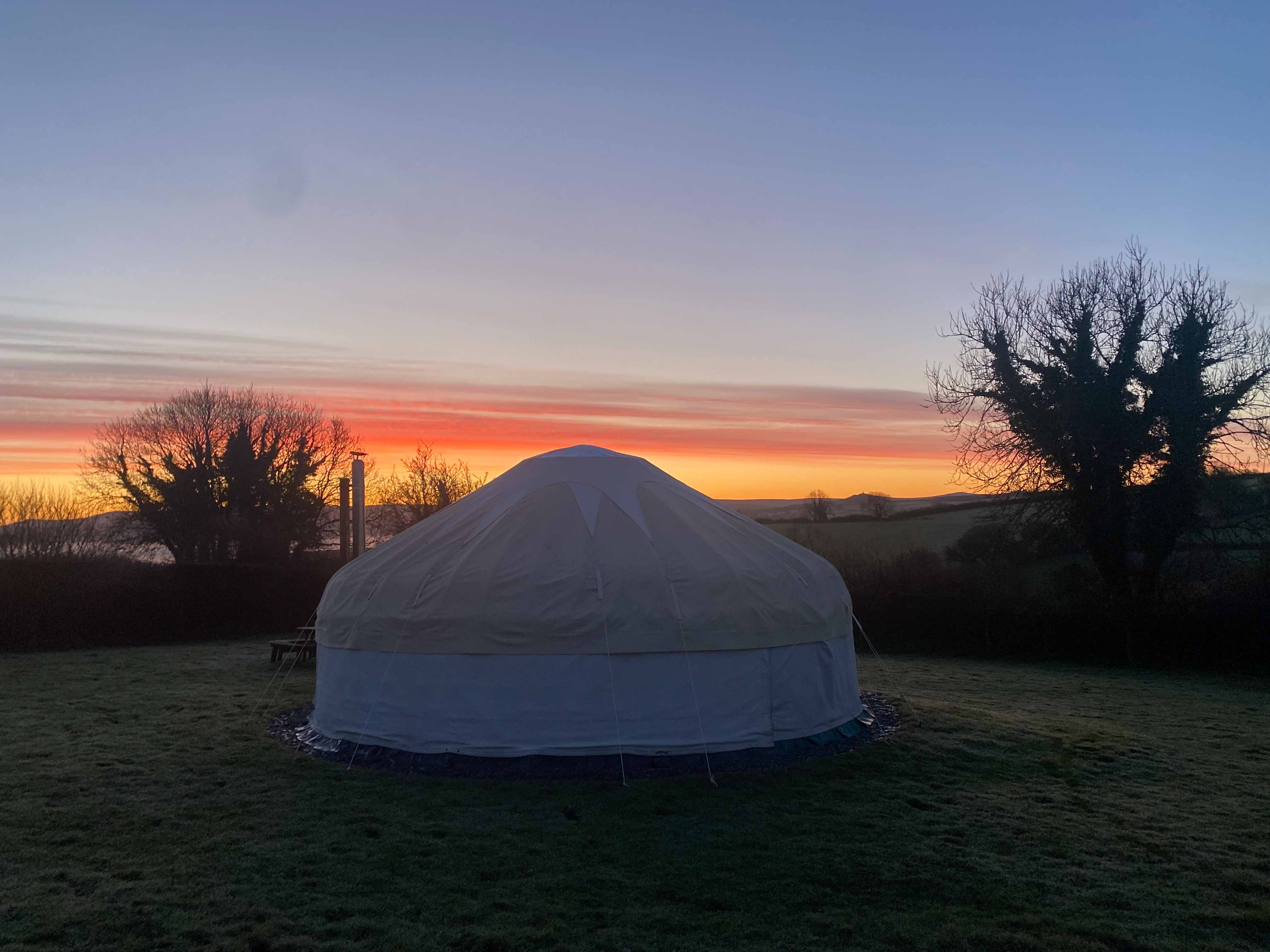 Borough Farm fields near Great Links yurt, Devon