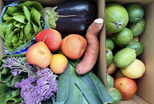 Seasonal Veg Box from Wonky