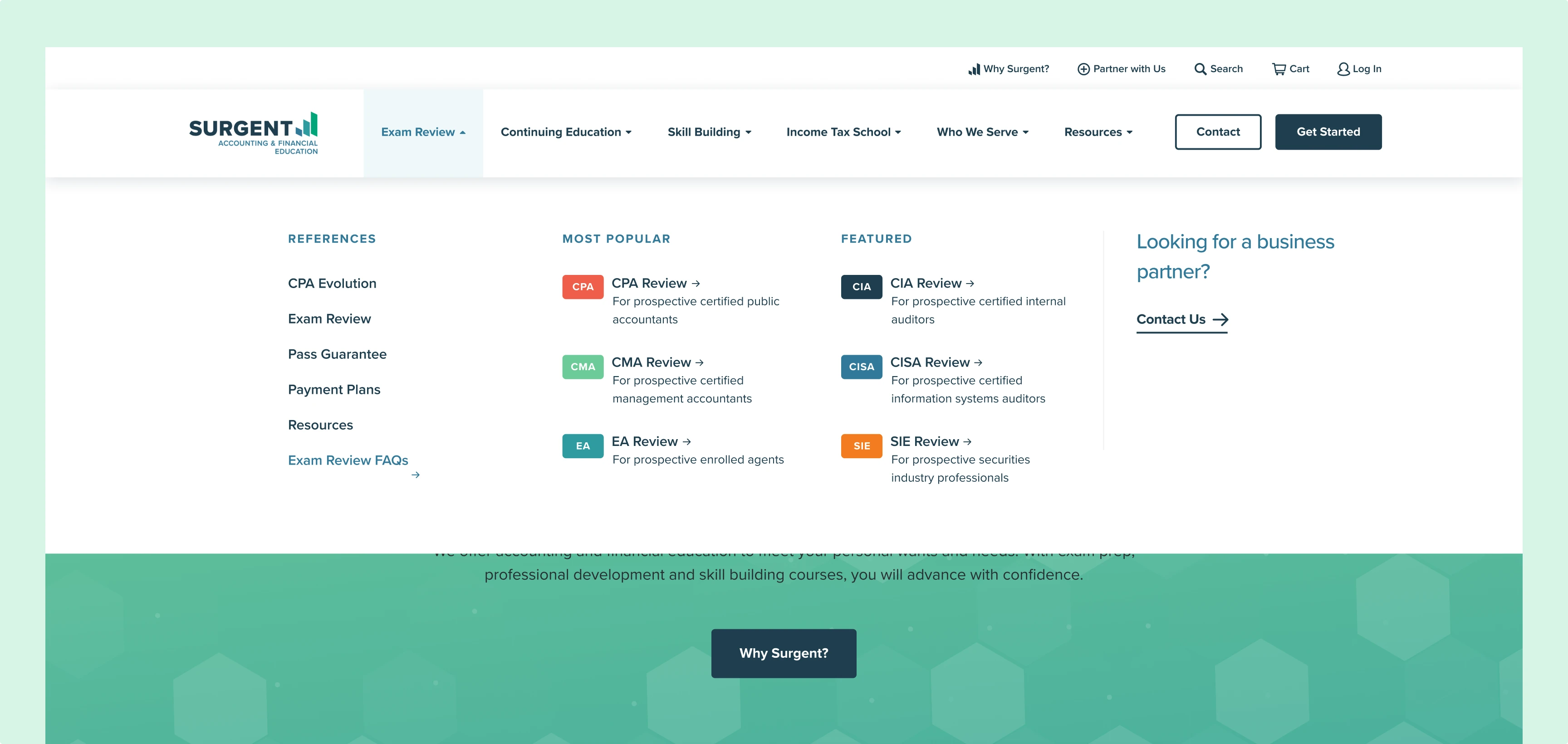 Website navigation design