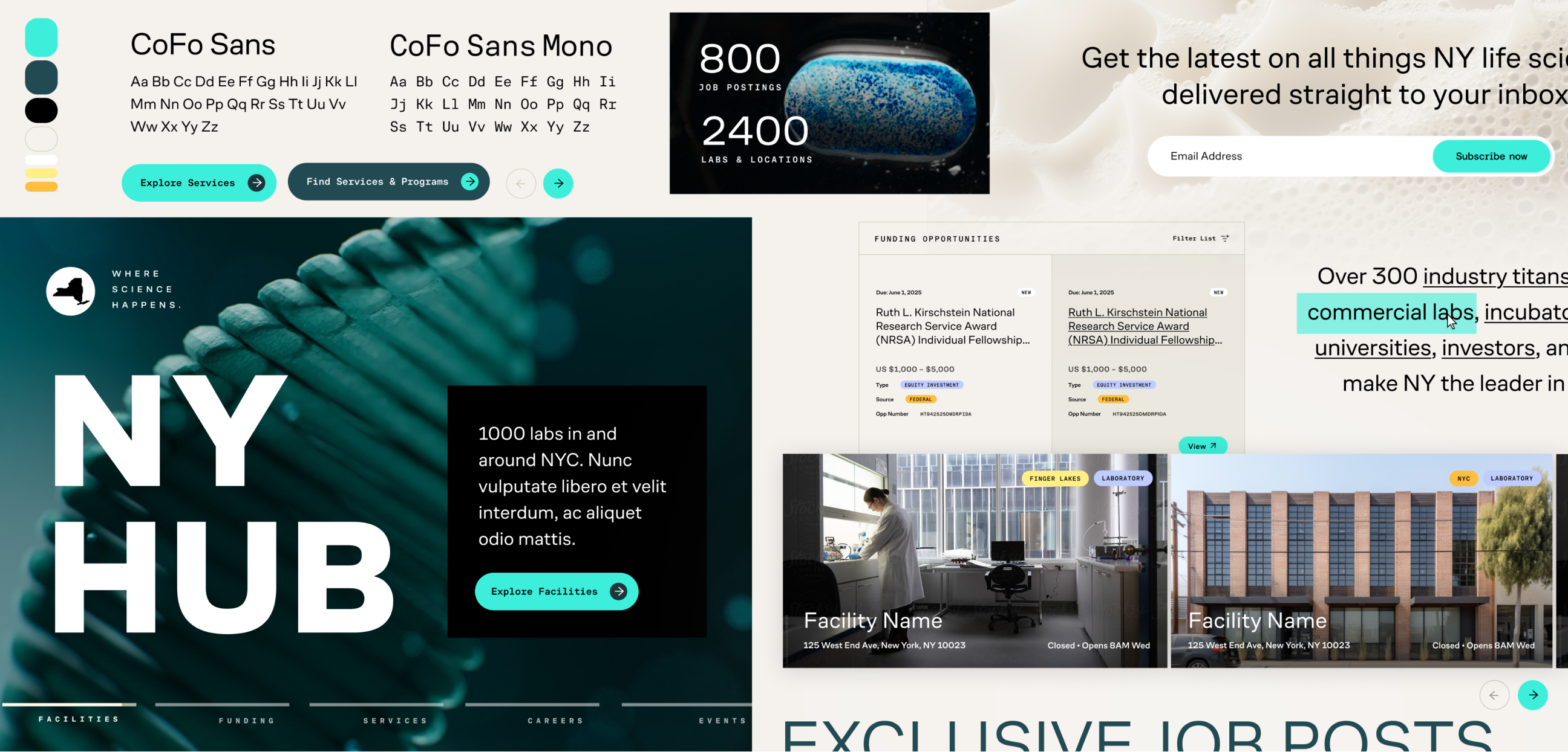NY HUB website section showing typography samples, color palette, lab and facility images, and text about 1000 labs in NYC with funding opportunities and subscription prompt.