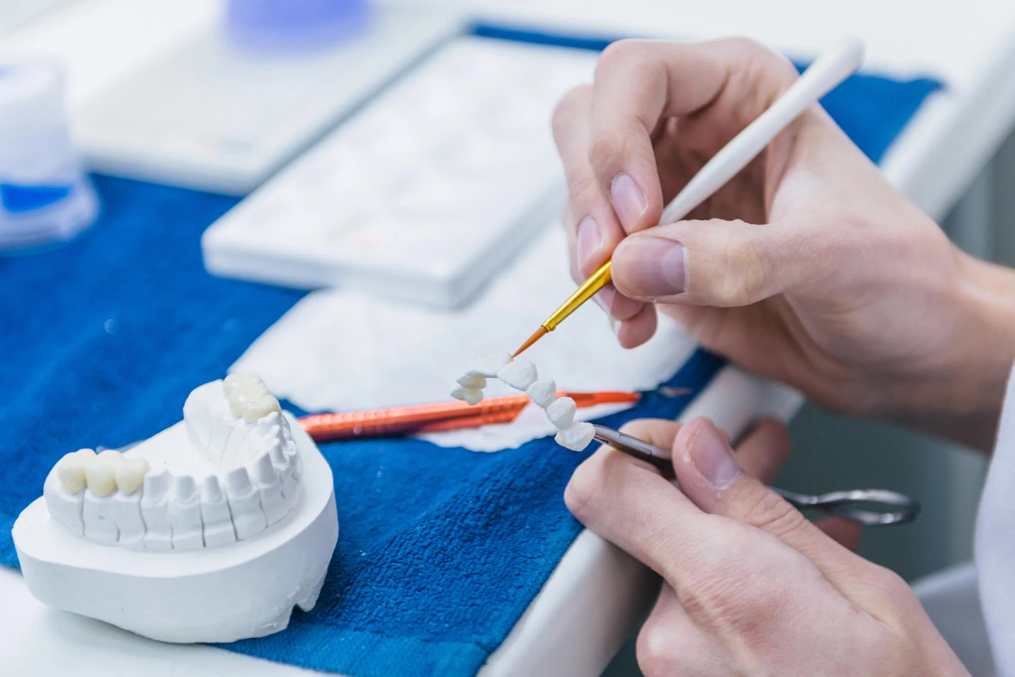 Dentist painting ceramic bridge on dental model prosthodontist in Pompano Beach