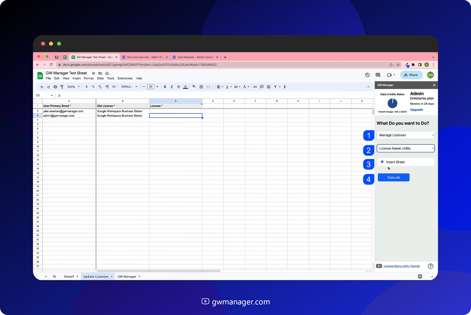 Insert license name utility sheet  in" GW Manager" to view acceptable license names